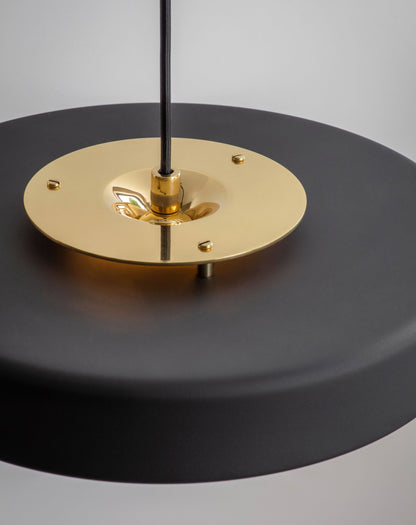 Suspension Bert Frank Revolve