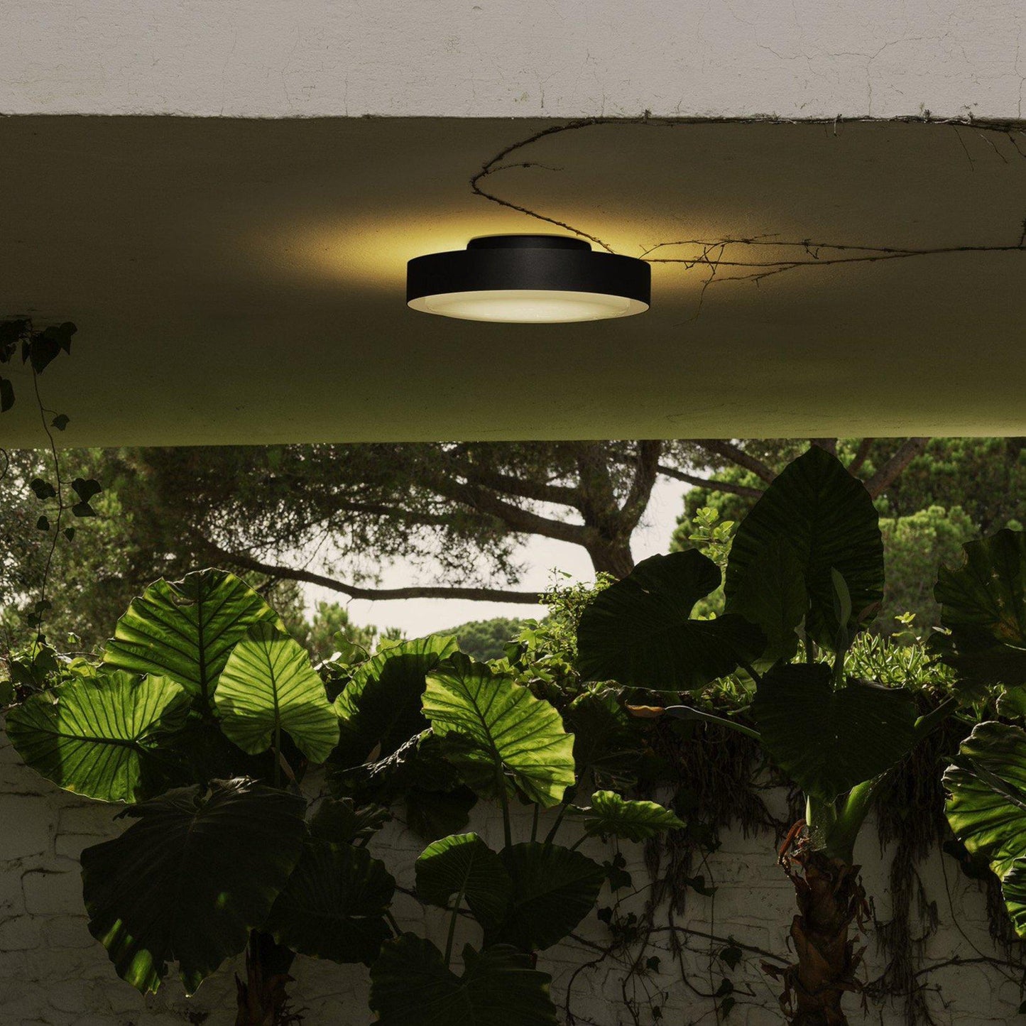 Marset Plaff-on ! Plafonnier/applique murale