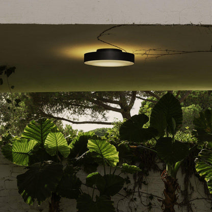 Marset Plaff-on ! Plafonnier/applique murale