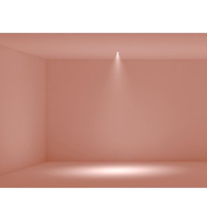 Orluna One Mini Downlight réglable