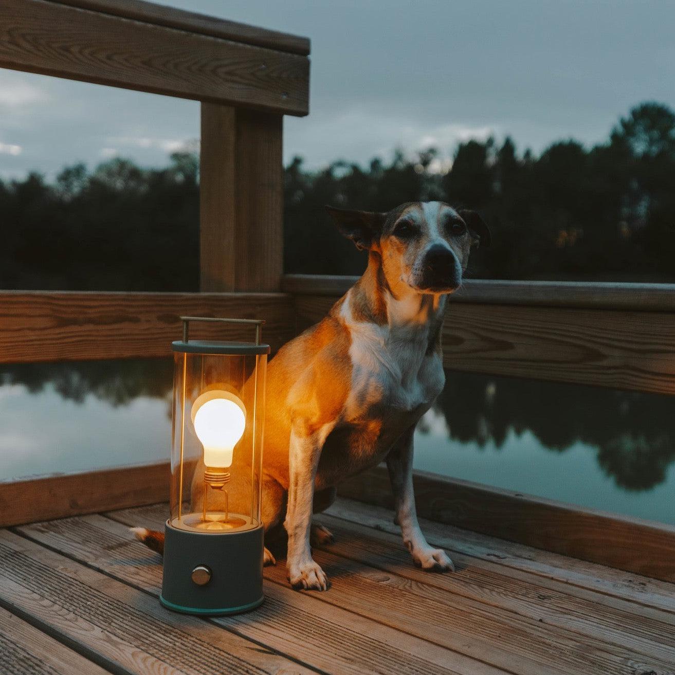 Lampe de table portable Tala Muse