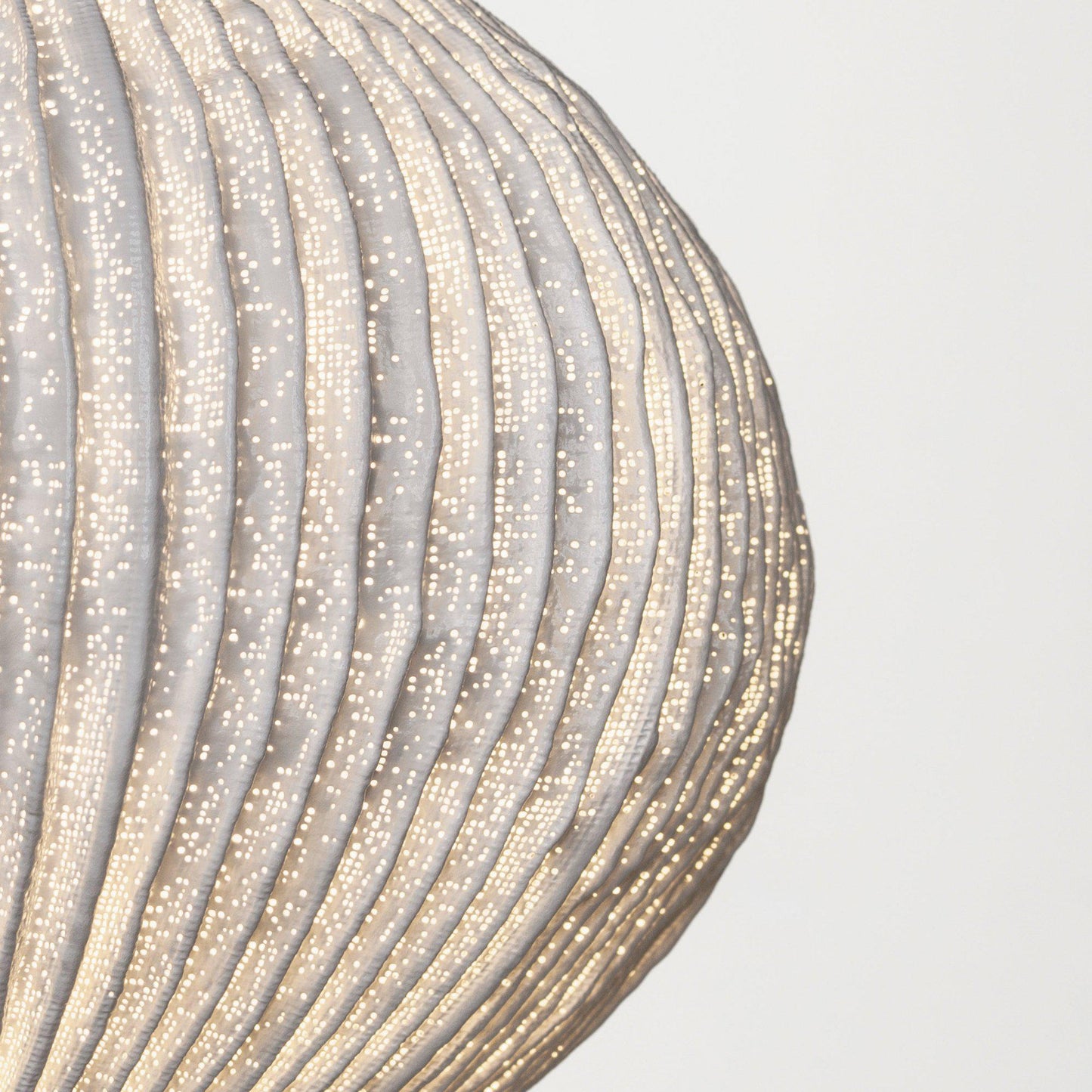 Suspension a-emotional light Coral Seaurchin petit