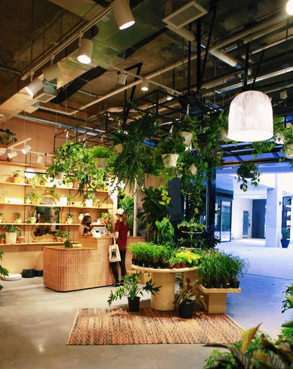 Suspension Onn Medium Light à lumière émotionnelle